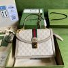 LUXUCYBAGSGucci