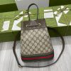 LUXUCYBAGSGucci