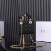 LUXUCYBAGSDior