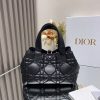 LUXUCYBAGSDior