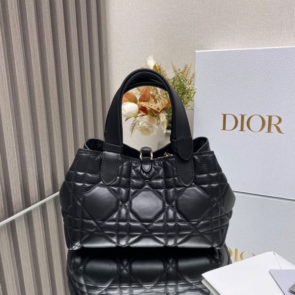 LUXUCYBAGSDior