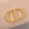 LUXUCYBAGSDior