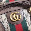 LUXUCYBAGSGucci