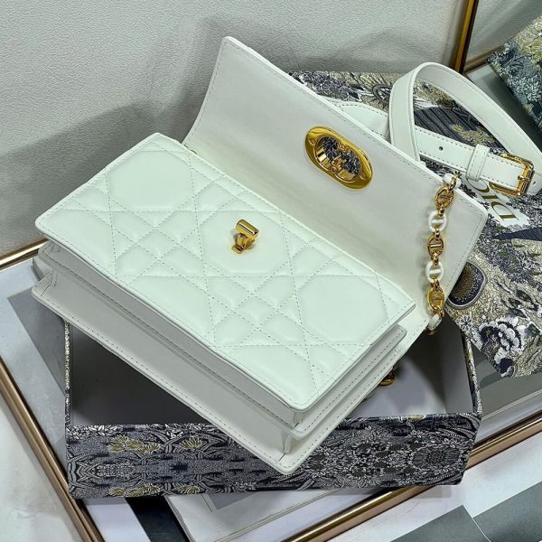 LUXUCYBAGSDior