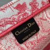LUXUCYBAGSDior