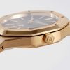 Audemars Piguet Royal Oak 16202OR